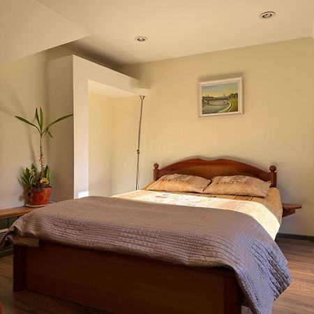 Danarent Tilto Apartment Вилнюс Екстериор снимка